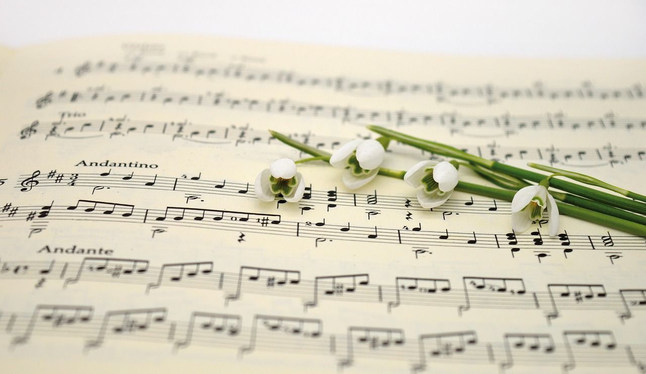 Sing me a song for summer